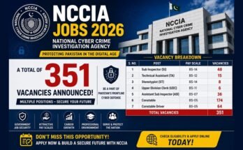 NCCIA Jobs 2026 vacancy breakdown — 351 posts announced